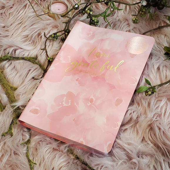 Daily Journal Gratitude I am Grateful Guided Journal - Picture 2 of 14